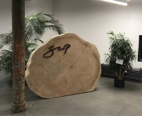 IMG_7097_klein_cut IMG_7097_klein_cut